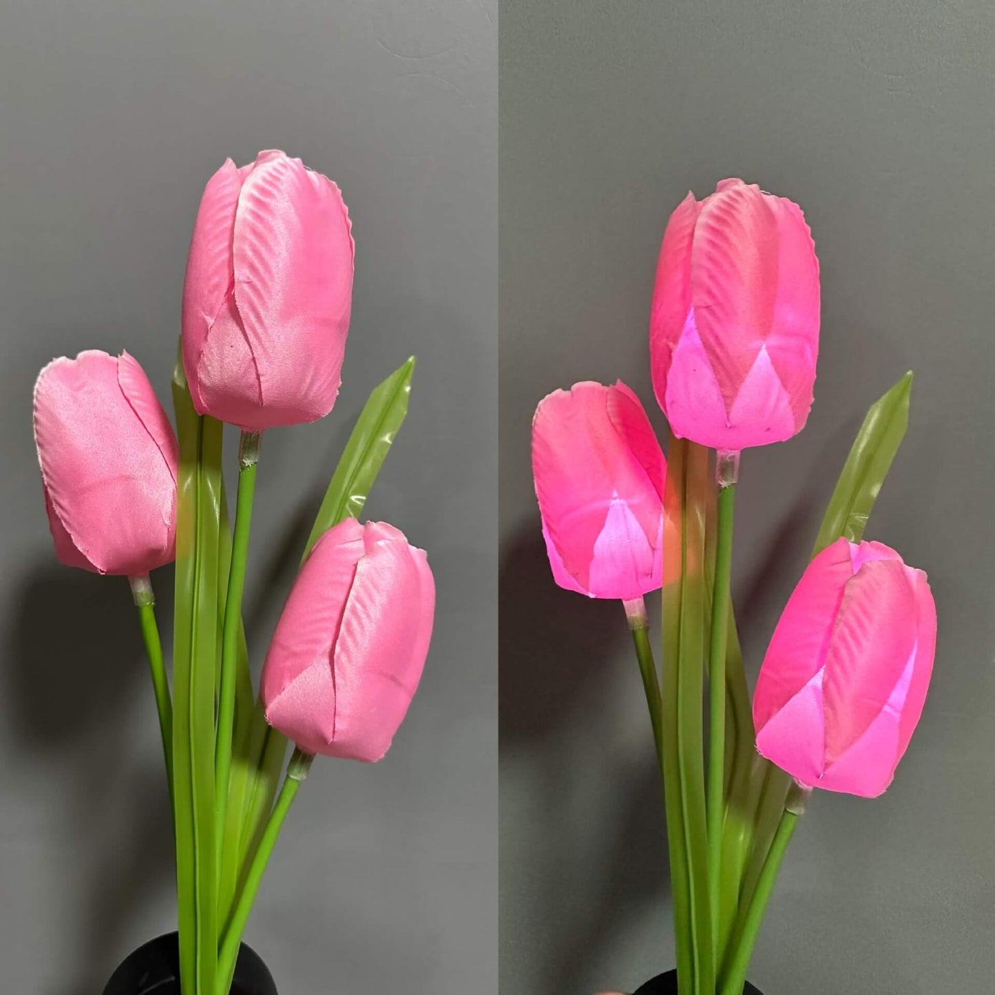 Solar-LED-Gartenleuchte mit Tulpenmotiv – Rosa/Violett/Blau/Gelb – (1 LED)