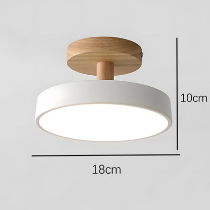 Skandinavische Deckenlampe mit Holzsockel – Dezentes Pastell-Design